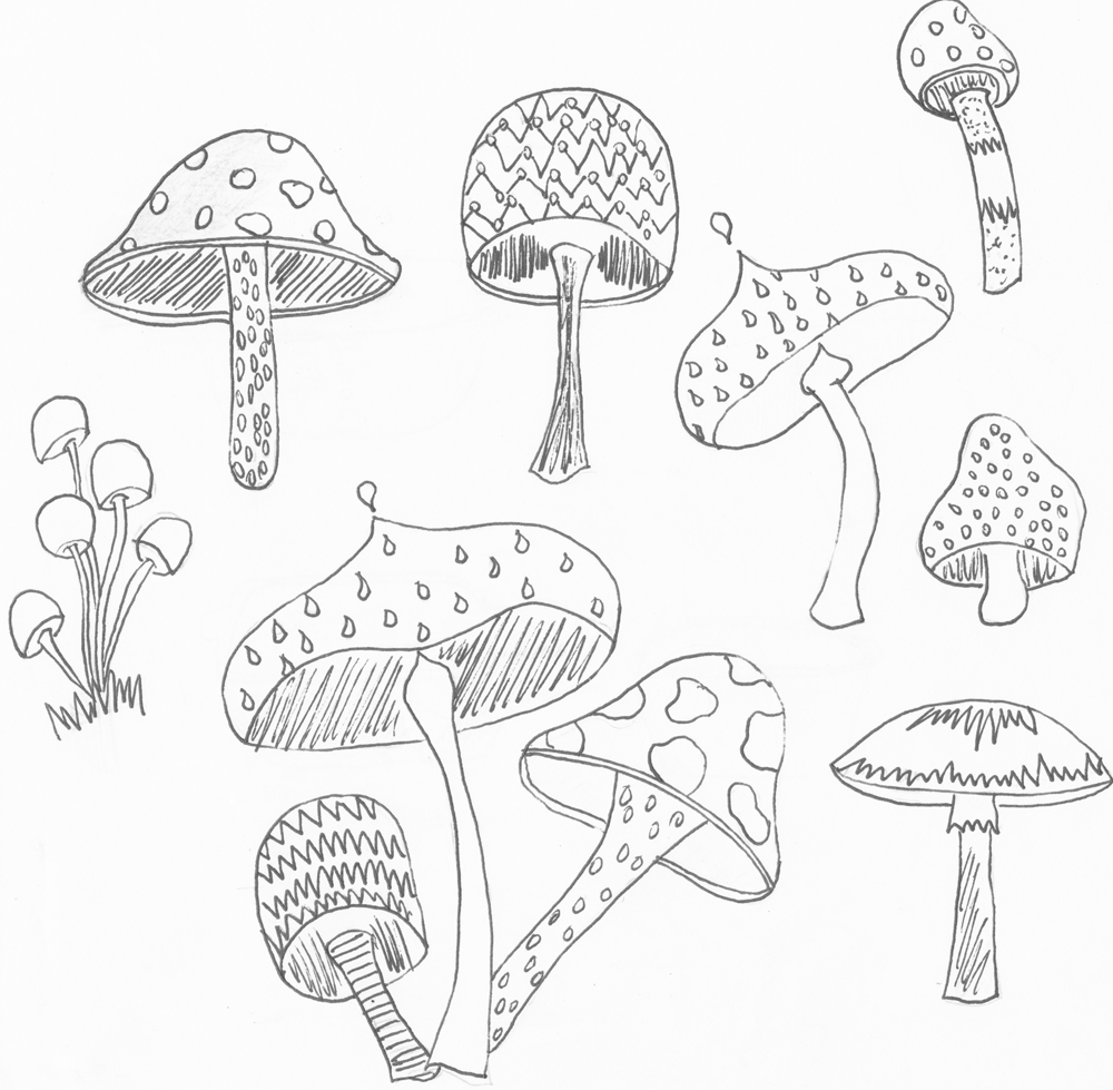 Как нарисовать гриб рыжик