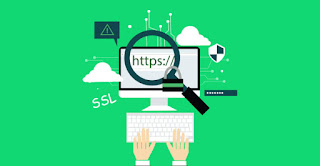 Chọn tên miền và hosting cho blog của bạn