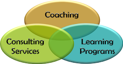 Need Start-up Coaching?