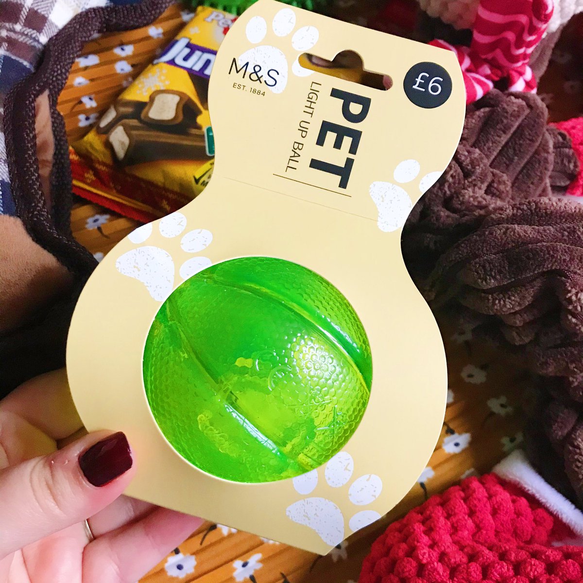 My 2019 Pets Christmas Gift Guide/What I've Bought Bear For His First