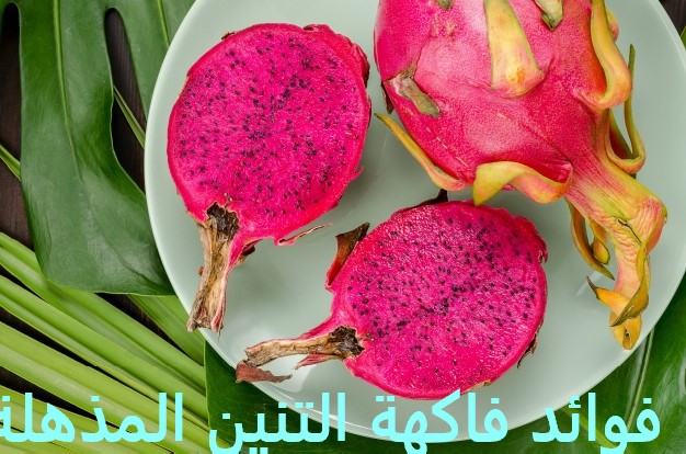 فاكهة التنين : فوائد فاكهة التنين الأحمر للرجال والأطفال فاكهة التنين : فوائد فاكهة التنين الأحمر للرجال والأطفال