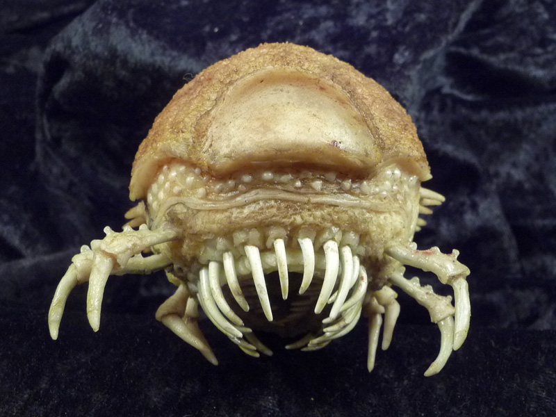 Propnomicon Unknown Specimen