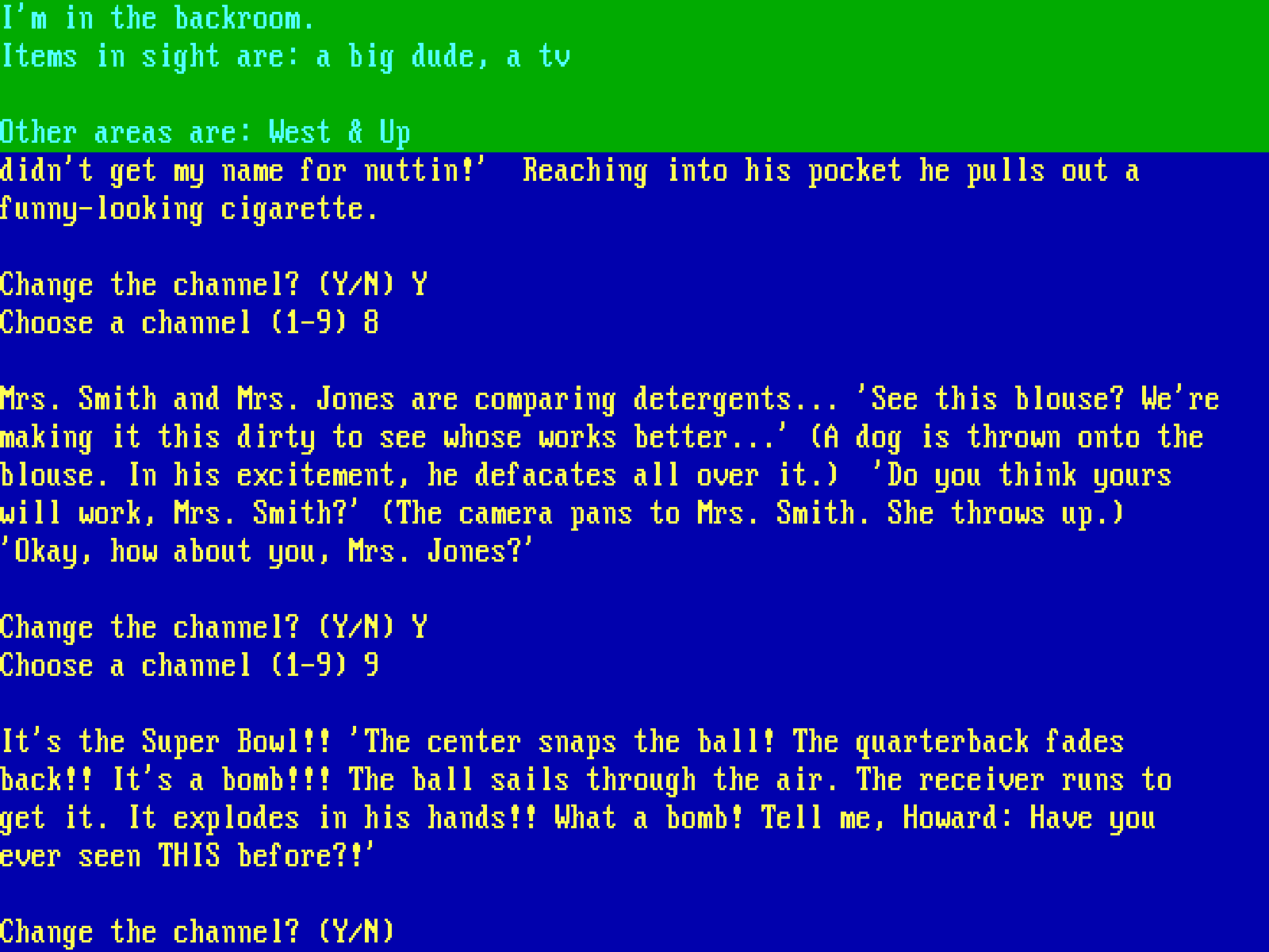 The Adventure Gamer: Missed Classic 9: Softporn (1981)