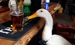 Too Much Pint Lands Unlikely Guest With Injuries, But It's A Duck