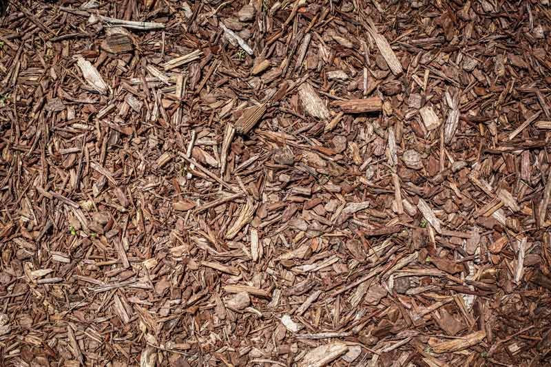 Wholesale Mulch for Spring 2021 Inventory