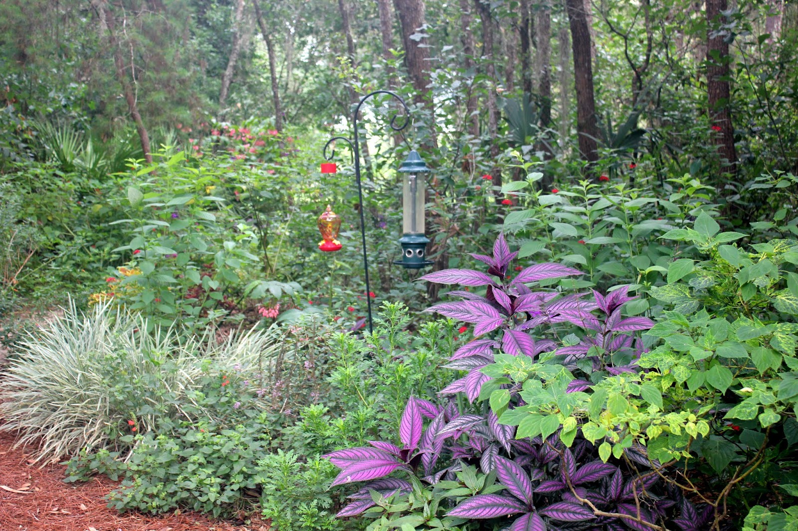 Come Visit Our Backyard Oasis Catching Happiness