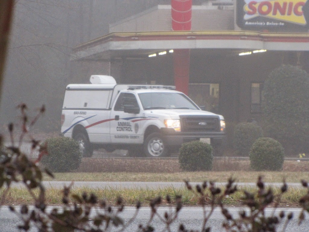 Gloucester VA Links and News Gloucester, Virginia Animal Control Still