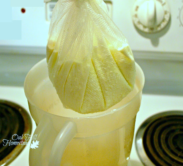 Suspend the cheesecloth inside a pitcher to allow the soft cheese to drain.