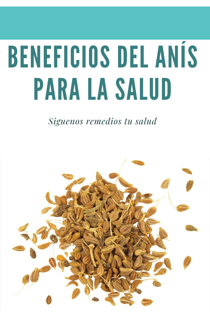 Beneficios del anís para la salud Beneficios del anís para la salud