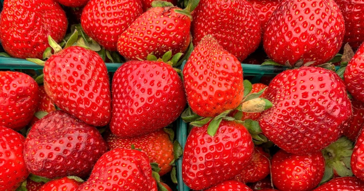 Photo journal...or whatever... Plant City Strawberries! Florida is