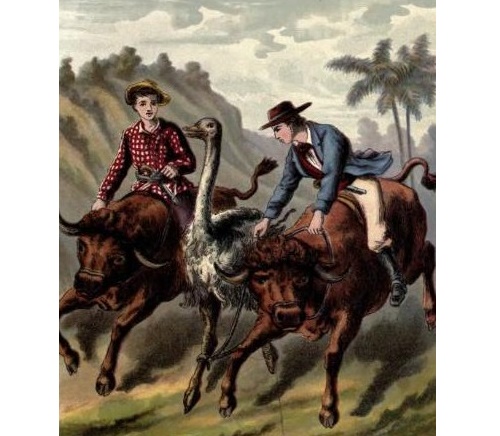The Swiss Family Robinson