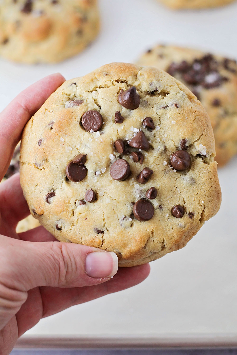 These jumbo chocolate chip cookies taste just as amazing as the ones from the gourmet cookie shops, but they're so easy to make at home!