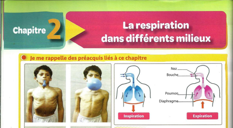 تحميل درس "La respiration et milieux de vie des êtres vivants" للسنة اولى اعدادي باللغة الفرنسية 