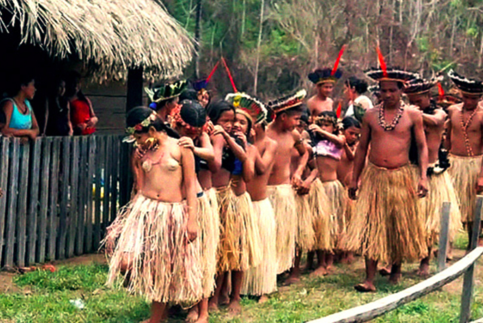 Povos Indígenas Brasileiros Kaxarari