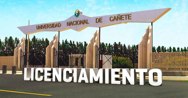 Universidad Nacional de Cañete - UNDC