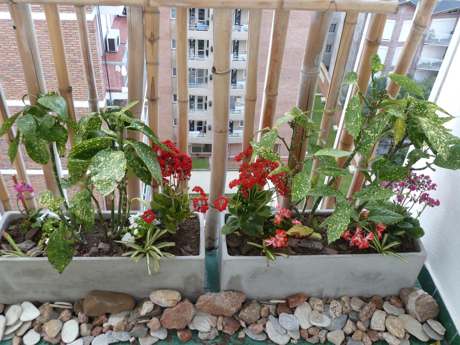 Los invito a pasear por mi jardín.... Terrazas con flores y plantas para todos los gustos..y