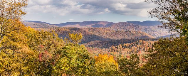 paisaje amarillo de otoño desde las montañas carolina del norte