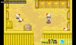 mineral town harvest moon friends gba chicken android story