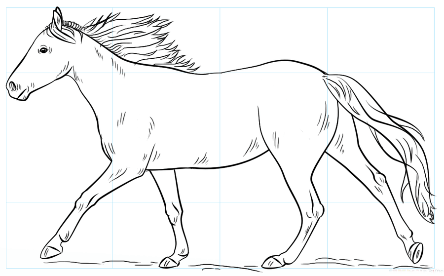 Como desenhar um cavalo (74 fotos): instruções passo a passo com
