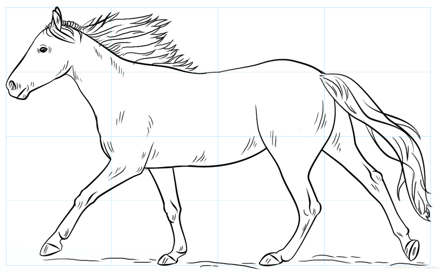 Featured image of post Desenho De Um Cavalo F cil O apetite do seu cavalo pode muito f cil determinar se ele est saud vel ou n o pois normalmente quando o animal um cavalo saud vel harmonioso movimentos livres e n o mostrar quaisquer sinais de claudica o ou marcha irregular