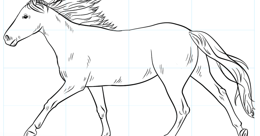 Passo a Passo Desenhar um Cavalo  Desenhos de penteados, Referência de  desenho, Desenhos