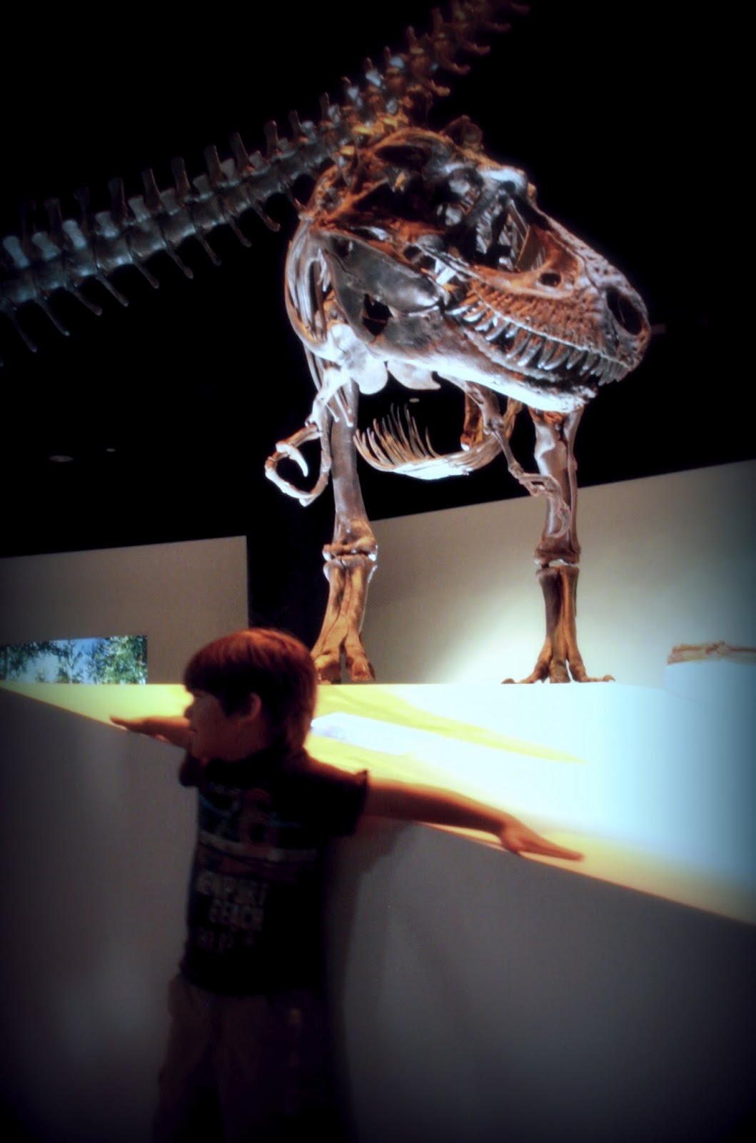 Out On A Whim Houston Museum of Natural Science Dinosaur Exhibit Photos