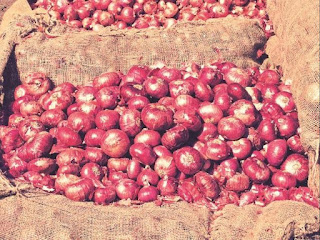 Government puts Minimum Export Price for Onion