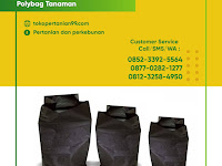 Ingin Berkebun? Ini 7 Peralatan Berkebun yang Harus Anda Miliki