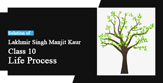 Solutions of Life Process Lakhmir Singh Manjit Kaur LAQ, HOTS and MCQ Pg No. 74 Class 10 Biology