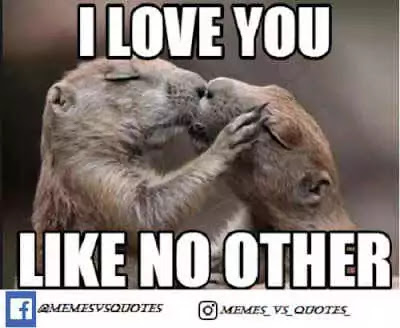 Click and get 101 best I Love You Meme that you can get anywhere else. I Love You Meme