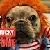 Chucky Dog Costume - Viral Video