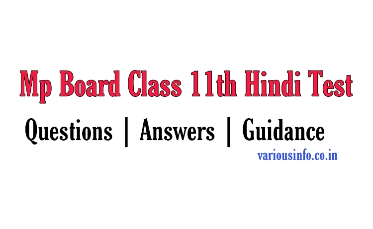 Mp Board Class 11th Hindi Test