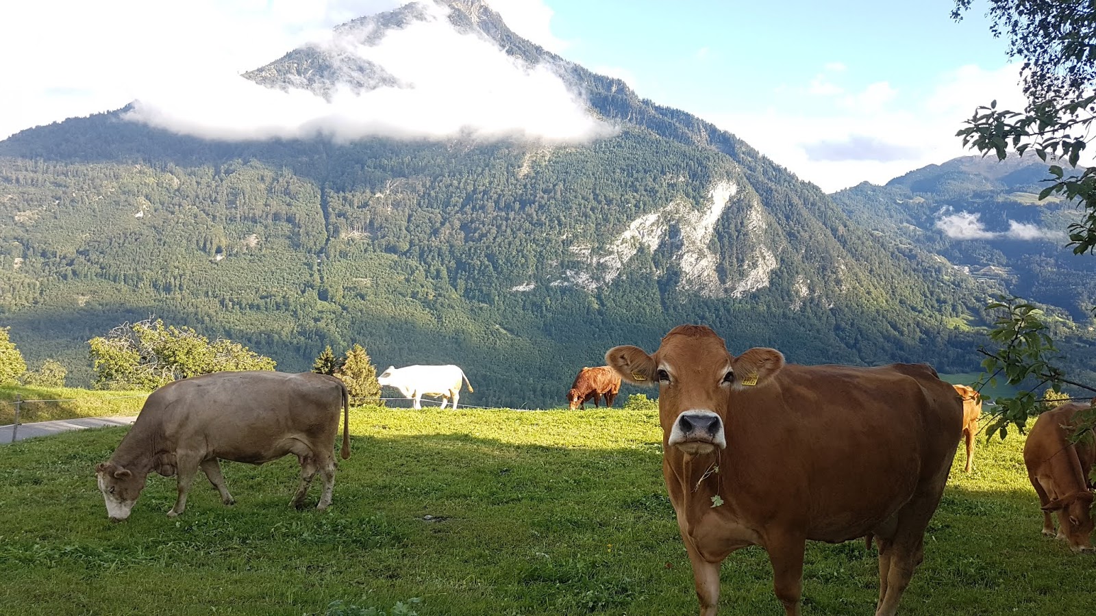 Wohlige Momente Unser Urlaub Im Allgau Mein Reisebericht Tag 8