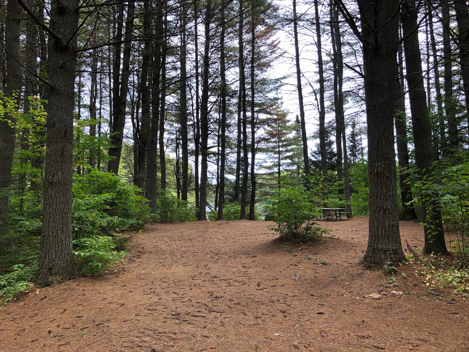 The Campsites Pog Lake Campground, Algonquin Ontario Provincial park, site 427