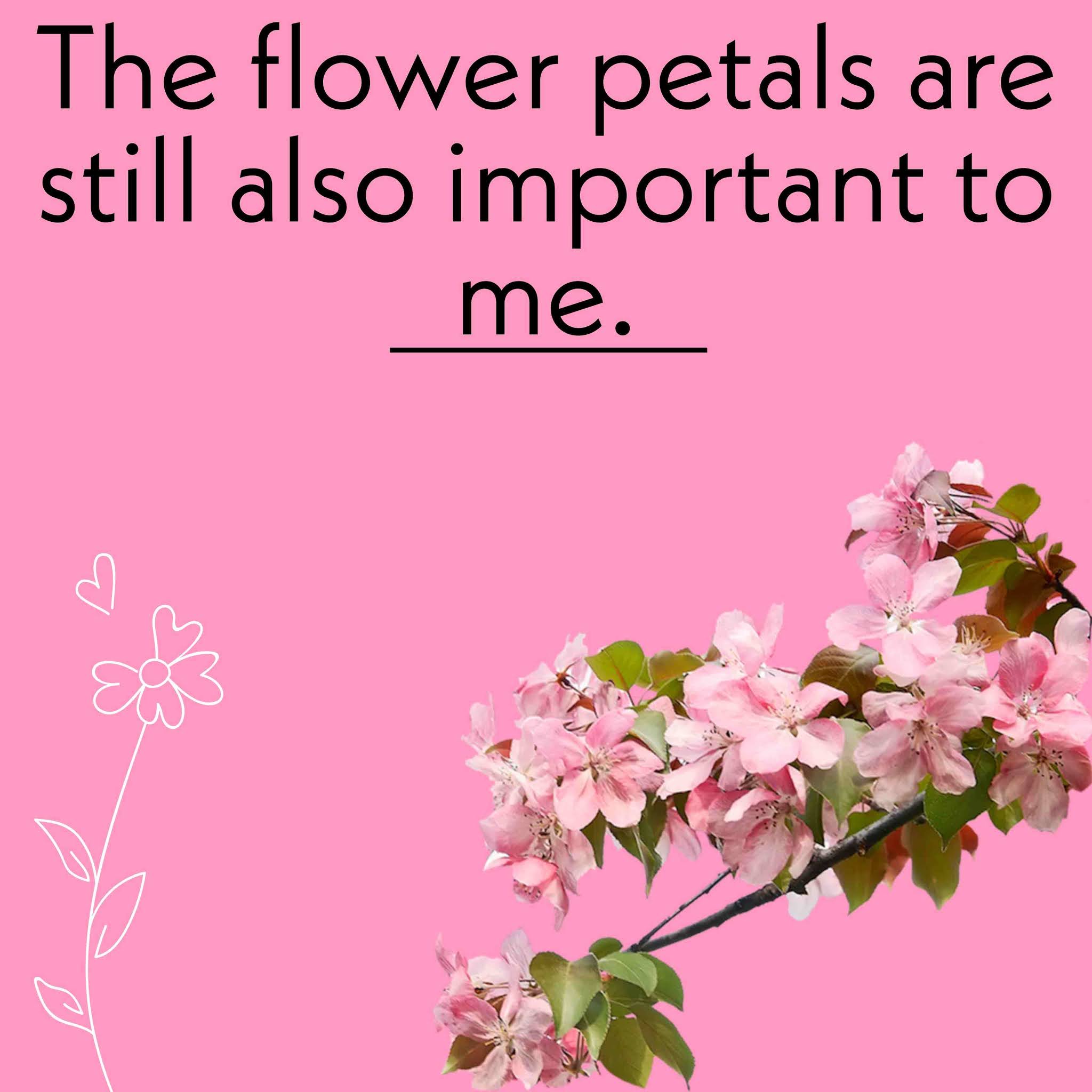 38+ Pink Flowers Captions for Instagram Best, Cute and lovely