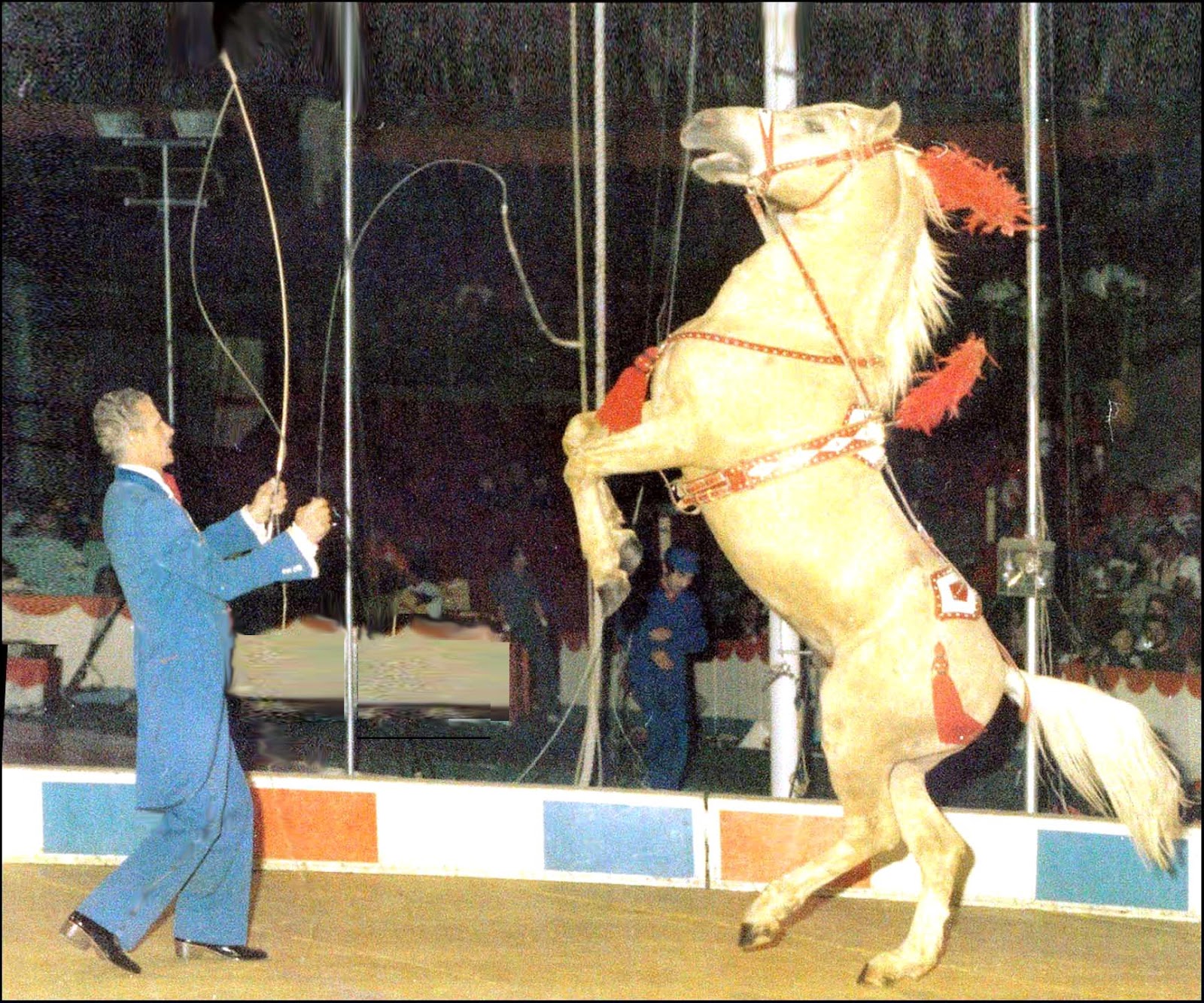 Buckles Blog HIND LEG 10