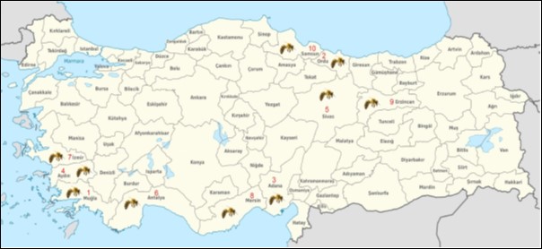 atd mühendislik türkiye arıcılık istatistikleri
