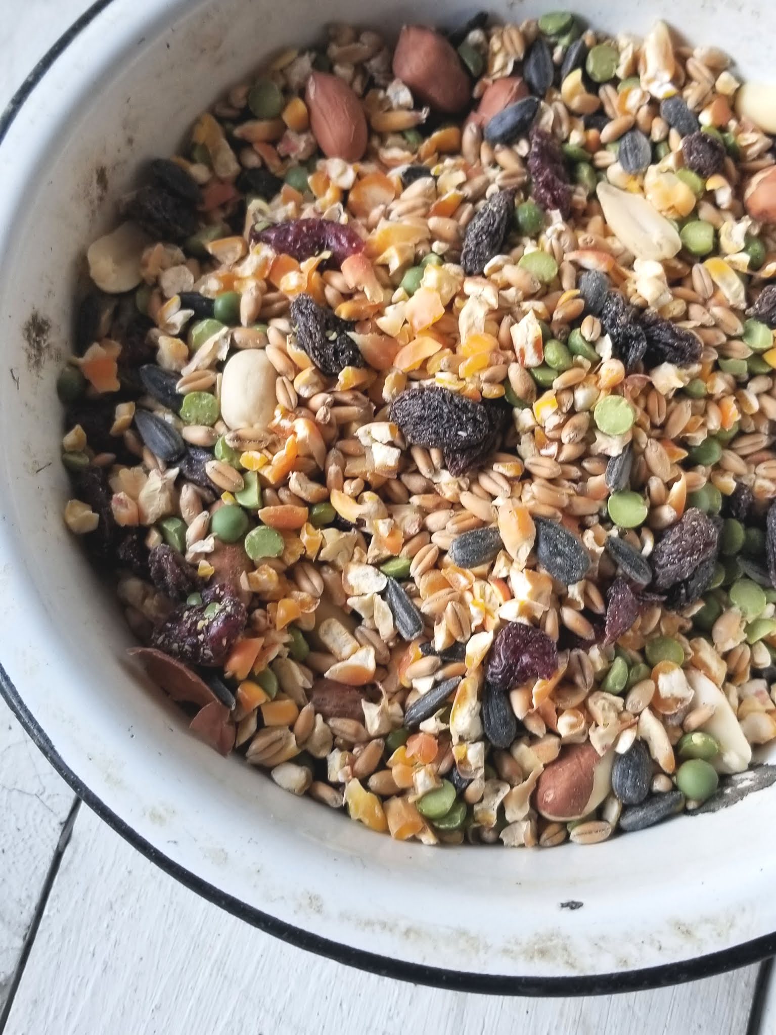 Scratch Grains Winter Treat for Chickens Fresh Eggs Daily®