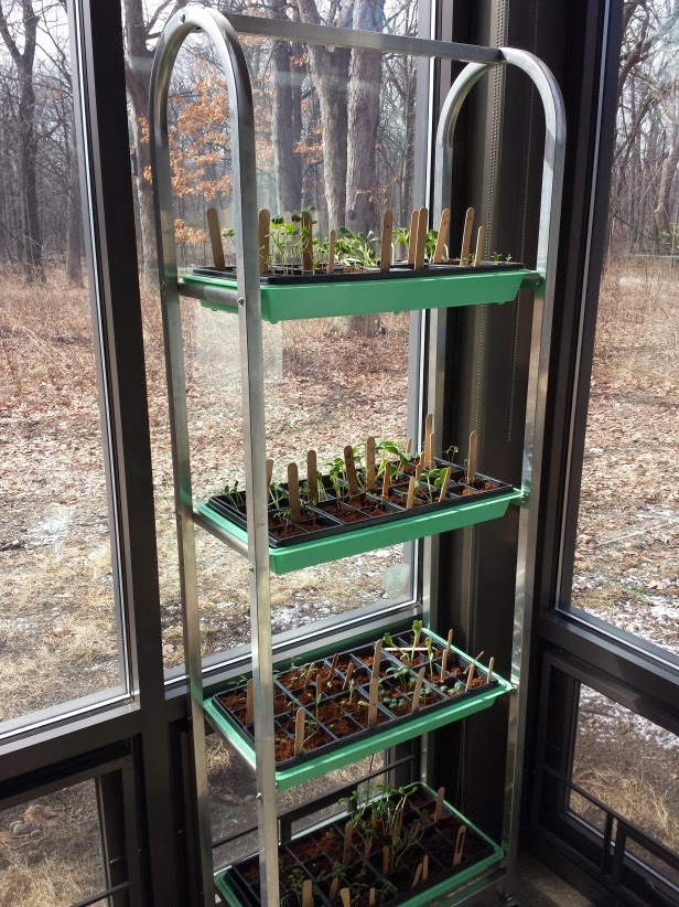 Downers Grove Park District Lyman Woods: Seed Starts