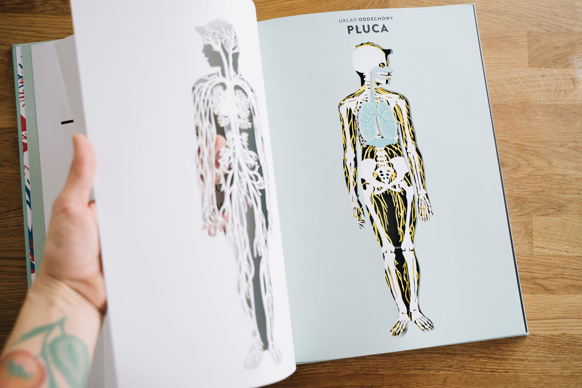 Wnętrze książki Anatomia wydawnictwo mamania helene druvert