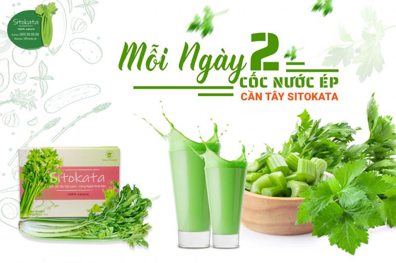 Cần Tây Sitokata – Combo 10 Hộp