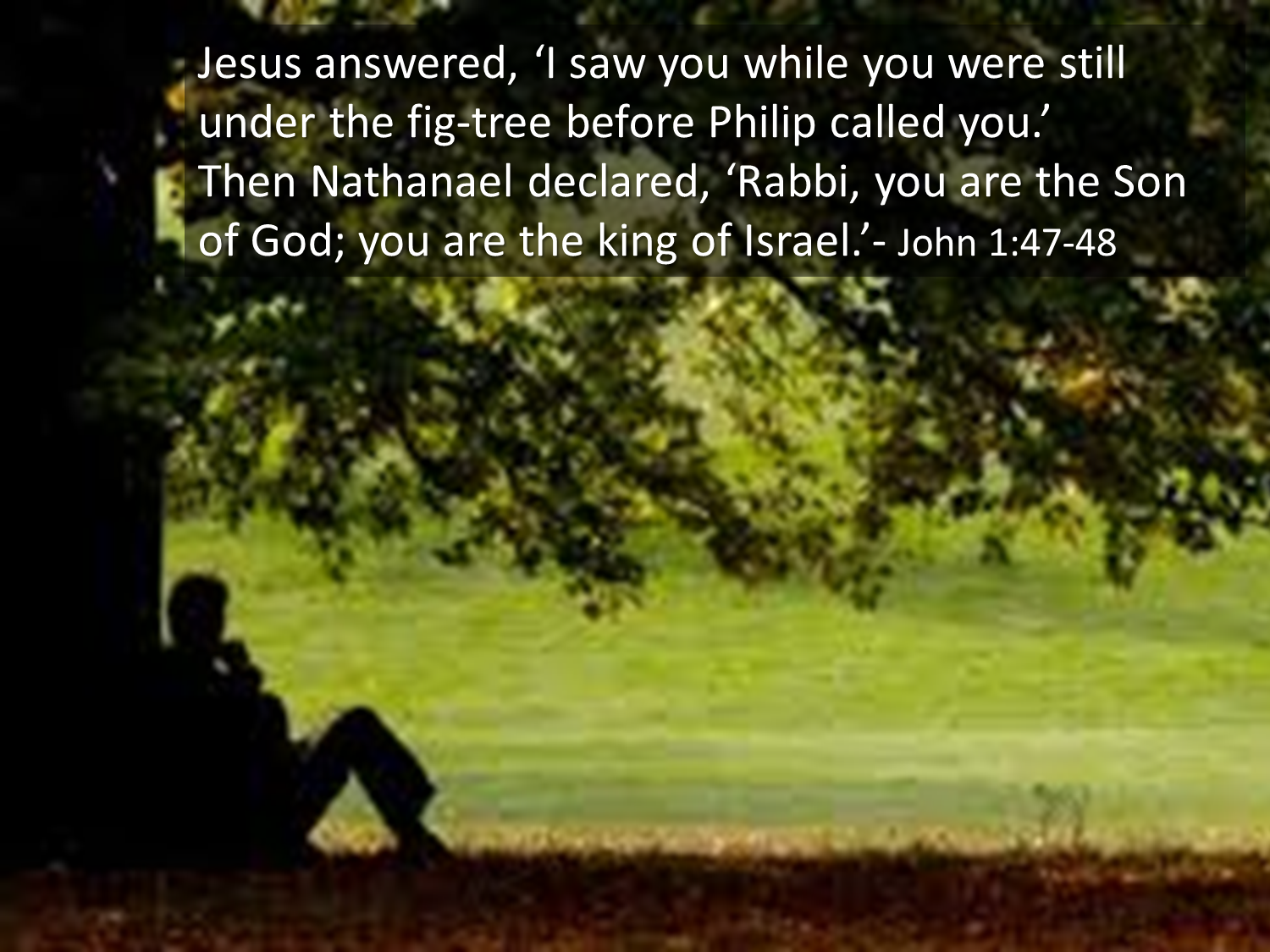 verse by verse bible study audio christophany verse by verse bible study audio christophany