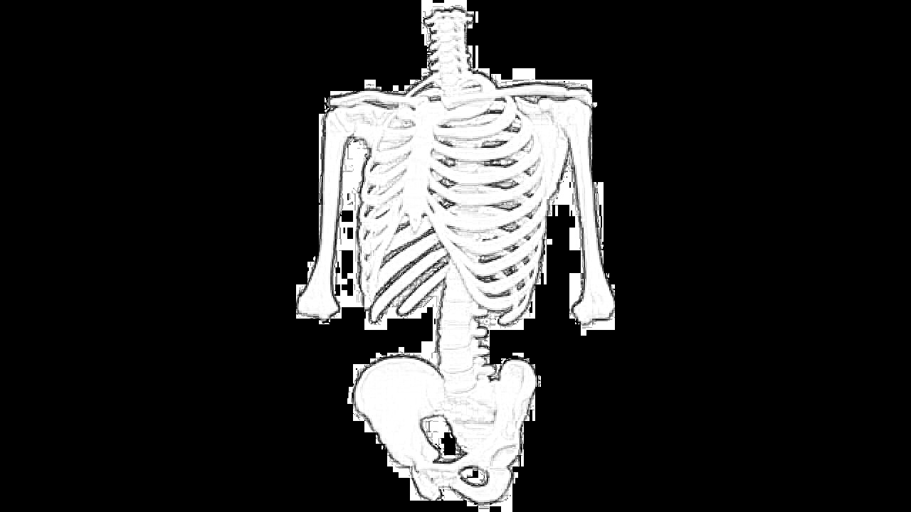 Coloring Pages: Skeleton Free Printable Coloring Pages