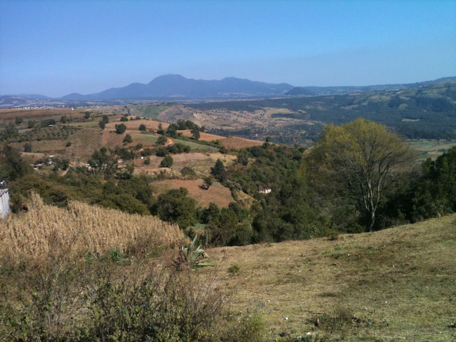 Marca la Diferencia San Simon el Alto Diciembre 2011