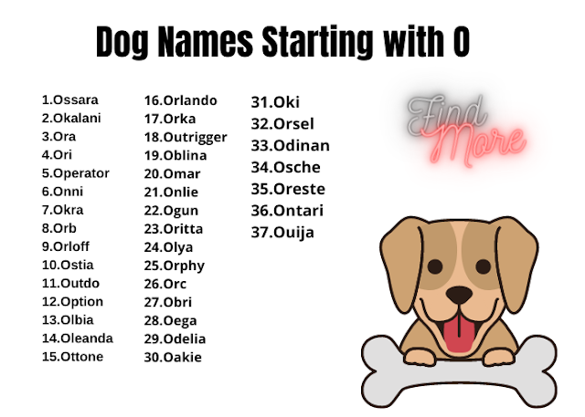 Dog Names That Start with O
