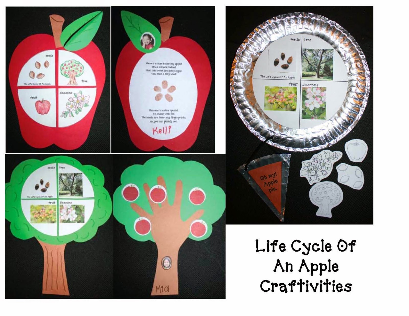 classroom-freebies-life-cycle-of-an-apple-craftivities