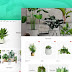 Plantan - Gardening & Houseplants Shopify Theme