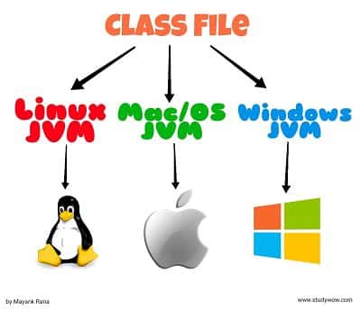 What is Java Bytecode | Why Java is Platform Independent - Study WoW