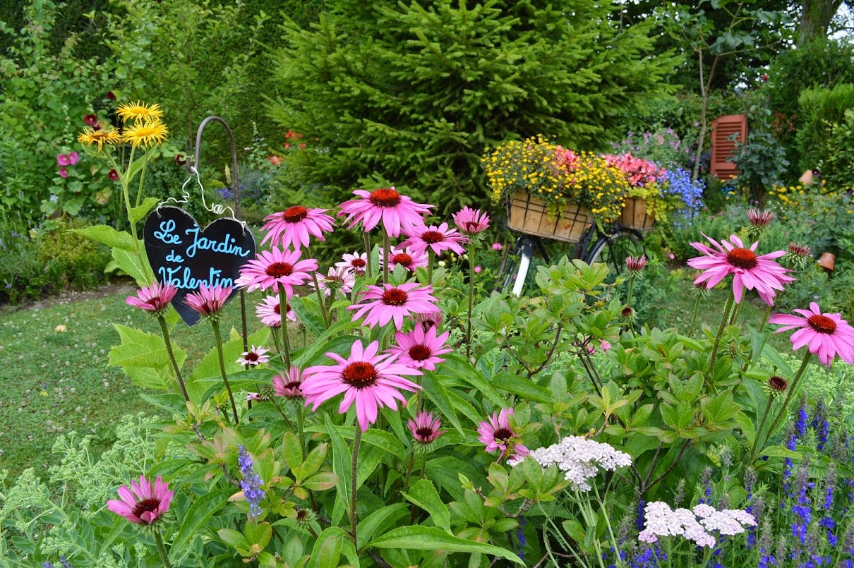 le jardin de marianne