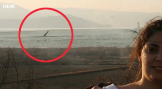 Το τέρας του Λόχνες στις Πρέσπες!  